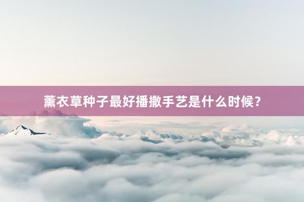 薰衣草种子最好播撒手艺是什么时候？