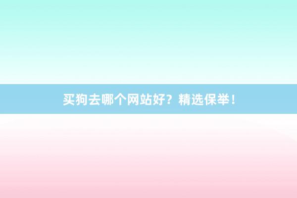 买狗去哪个网站好？精选保举！