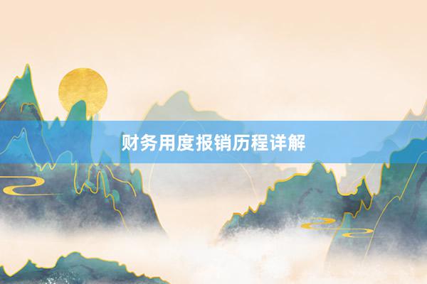 财务用度报销历程详解
