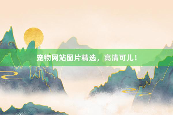 宠物网站图片精选，高清可儿！